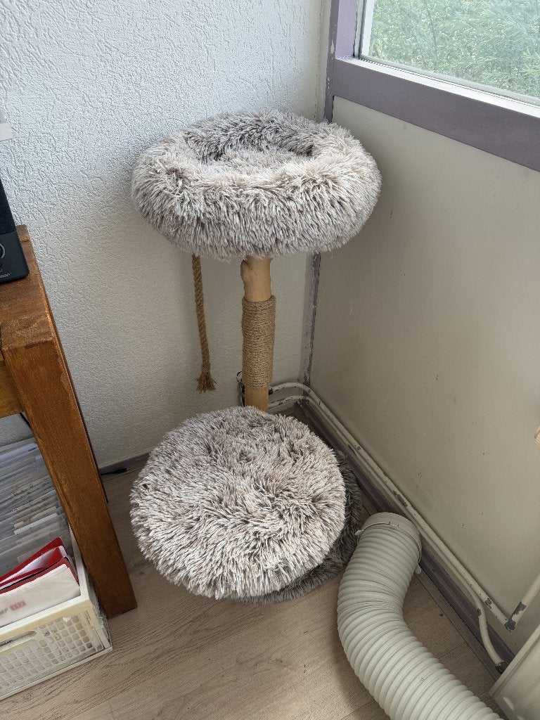 Mooie Kattenboom zo goed als nieuw, Ophalen, Zo goed als nieuw