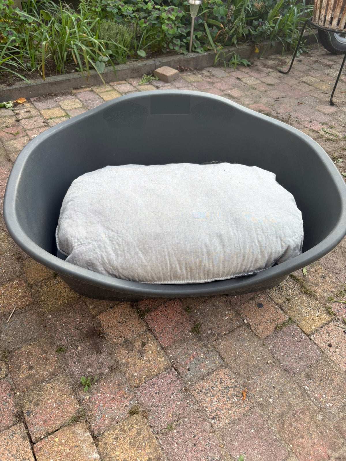 Hondenmand middel model met beezteez kussen, Ophalen, Zo goed als nieuw, Polyester
