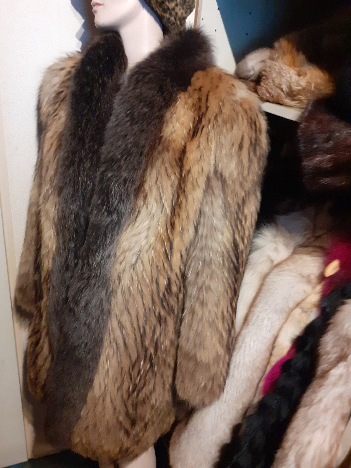dikke echte RACCOON  bontjas bont jas bontmantel maat M/L, Ophalen of Verzenden, Zo goed als nieuw, Maat 42/44 (L), Bruin