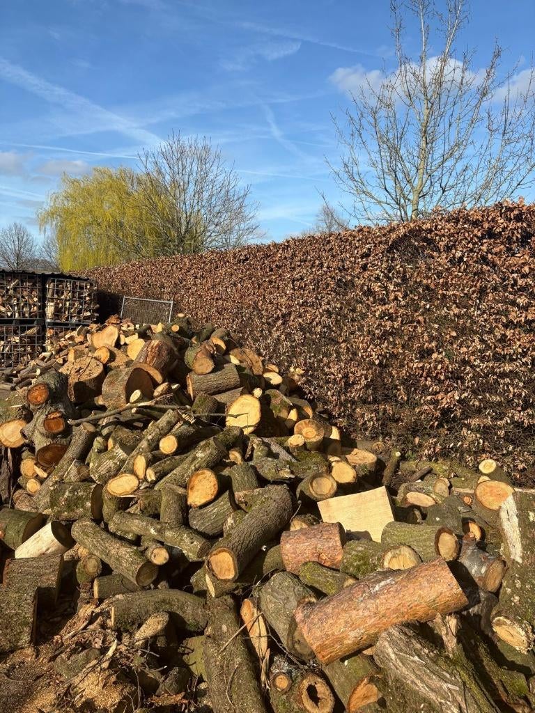 kachelhout, Tuin en Terras, 6 m³ of meer, Ophalen of Verzenden, Overige houtsoorten, Blokken