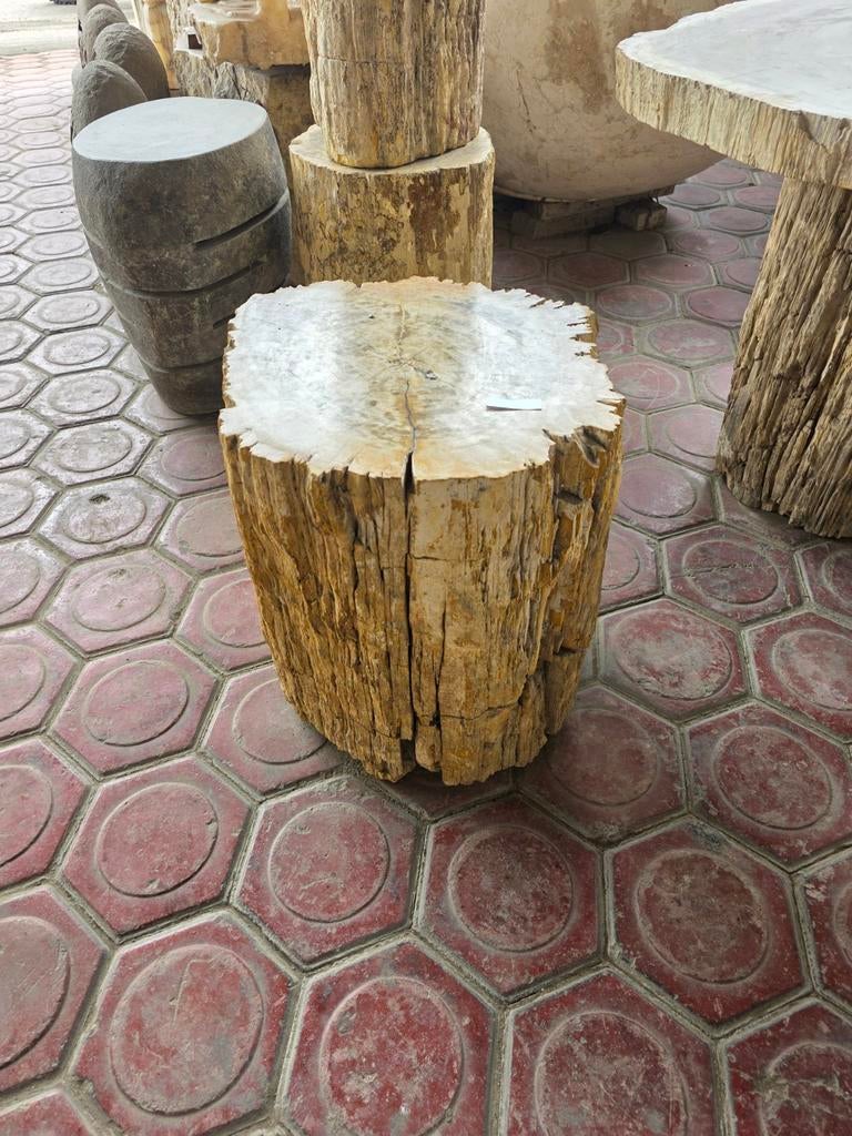 Versteend Hout Krukken - 45 cm hoog, 35 cm diameter, Huis en Inrichting, Ophalen, Gebruikt, Overige materialen