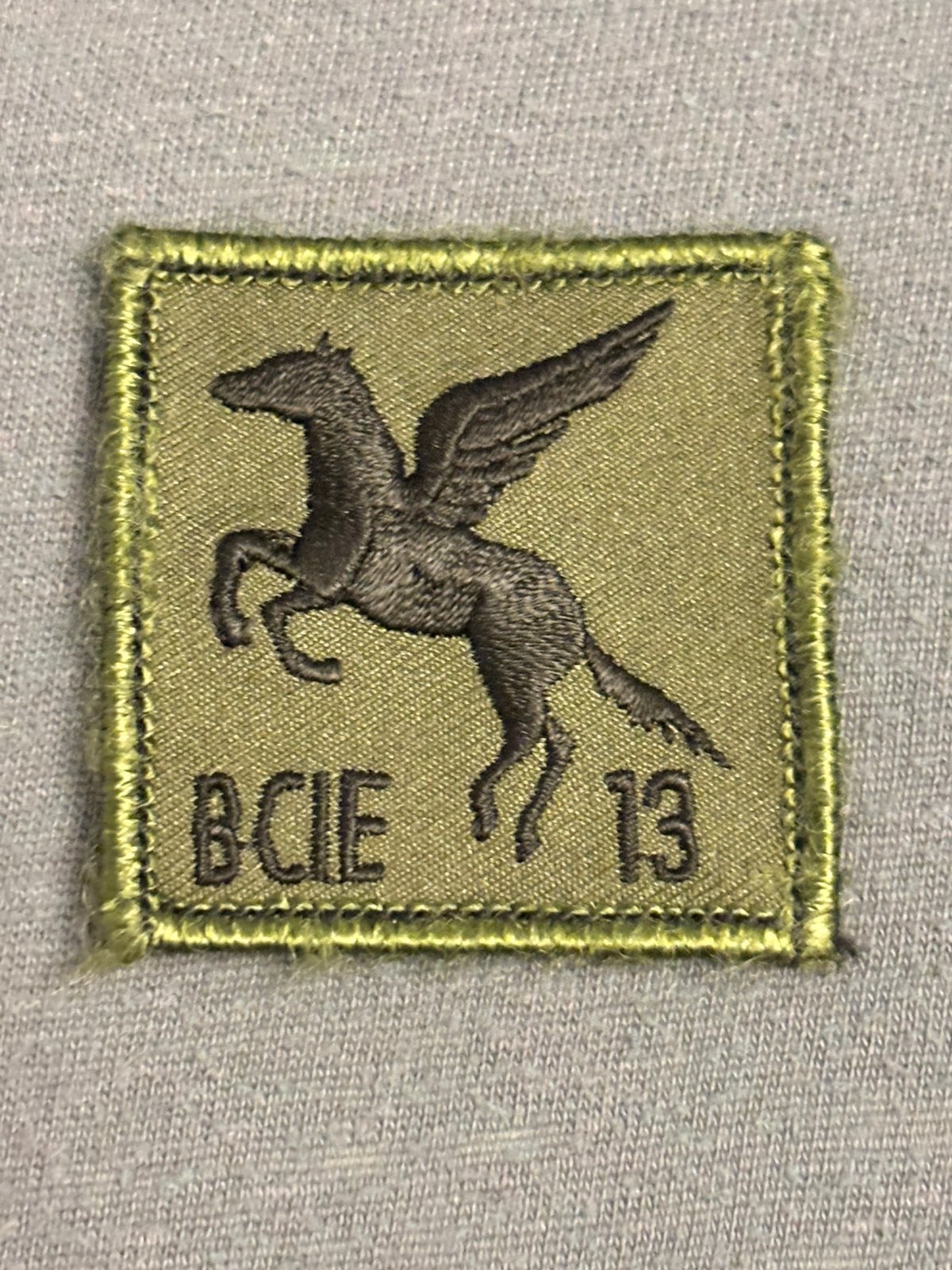 5x5 borst embleem BCIE 13 LMB, Verzenden, Landmacht, Nederland, Embleem of Badge