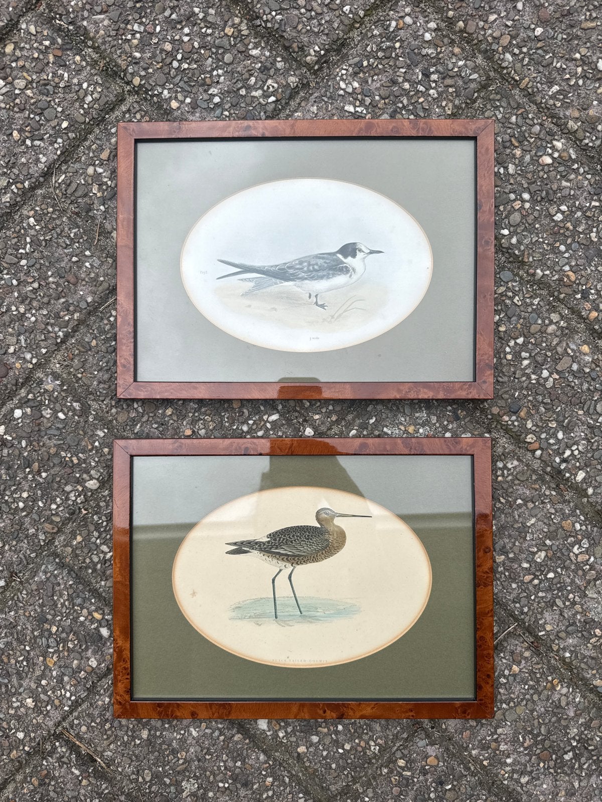 Set van 2 ingelijste vogelprints - 30x22 cm, Huis en Inrichting, Minder dan 50 cm, Gebruikt, Ophalen of Verzenden, Print
