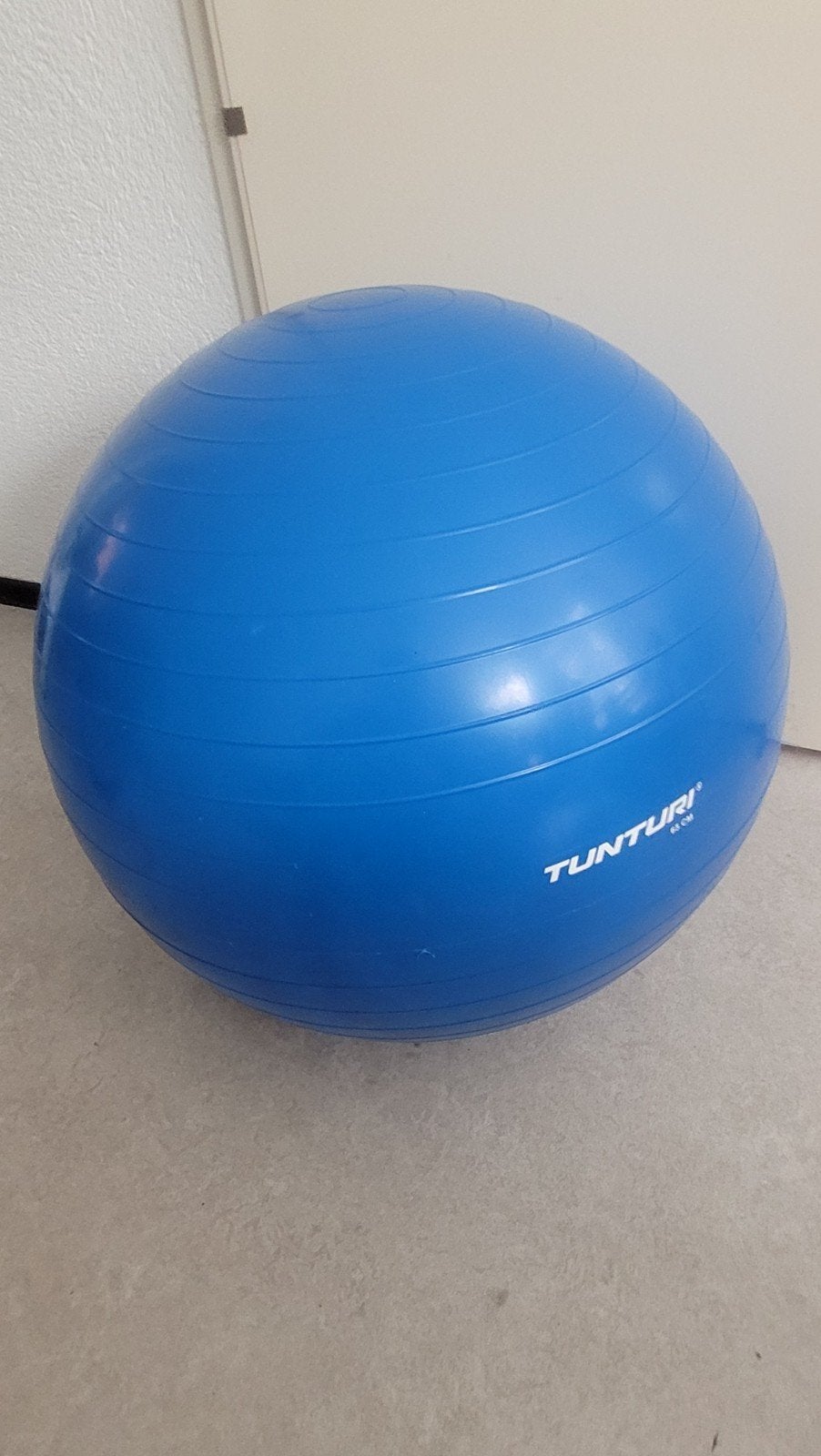 Tunturi Fitnessbal 65 cm - Blauw, Ophalen of Verzenden, Zo goed als nieuw, Buik, Fitnessbal