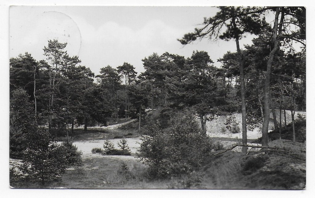 Baarn Vacantie kinderhuis - ansichtkaart ( B8176) uit 1956, Verzamelen, Ophalen of Verzenden, 1940 tot 1960, Gelopen, Utrecht