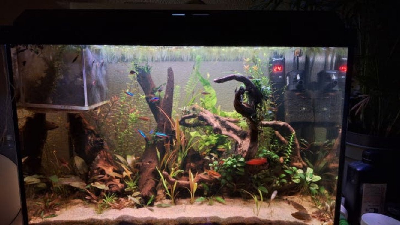 Aquarium met inhoud en diverse toebehoren, Dieren en Toebehoren, Vissen | Aquaria en Toebehoren, Nieuw, Gevuld zoetwateraquarium
