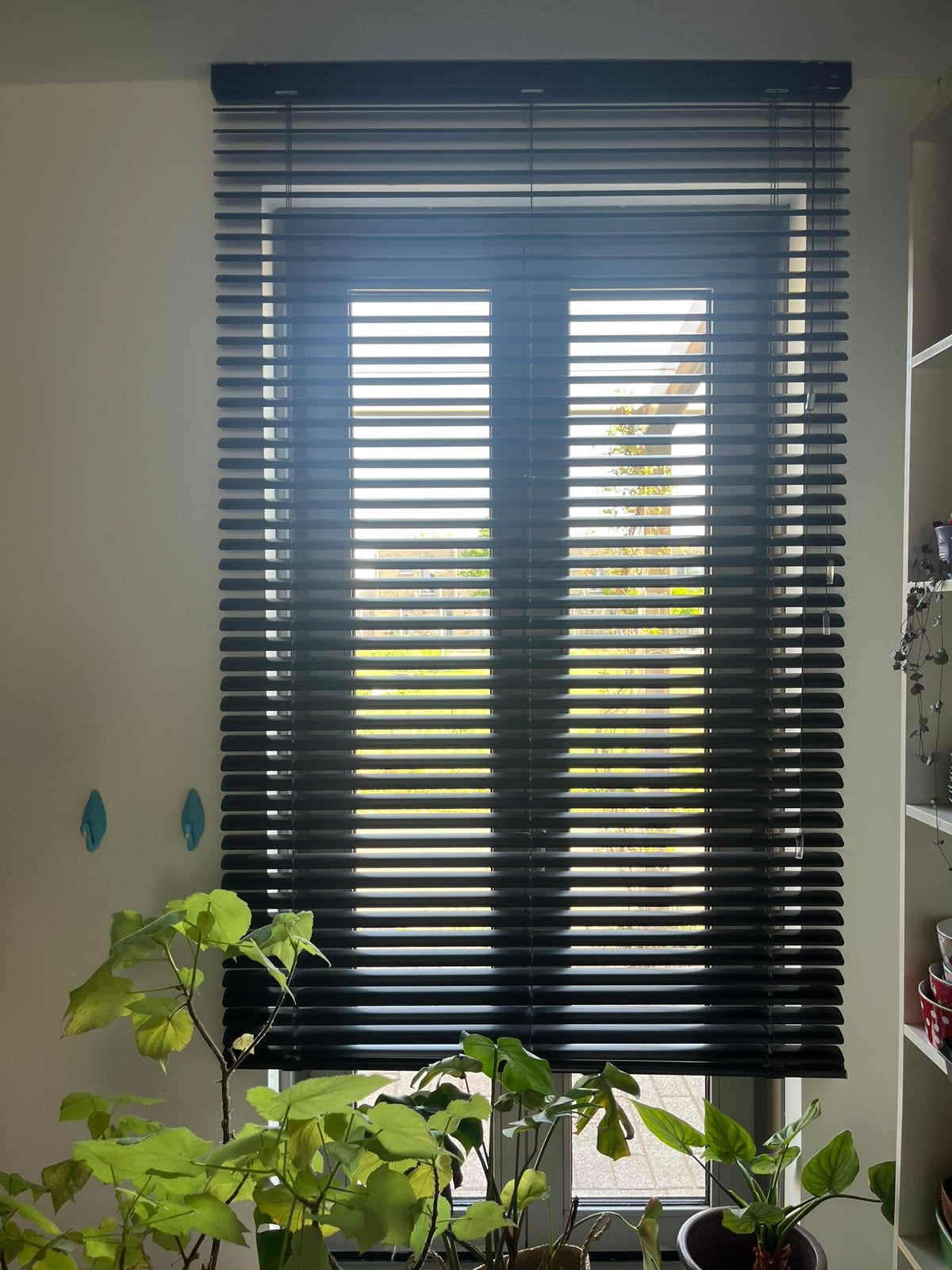 Luxaflex horizontale jaloezieën 50mm - zwart, Ophalen, Jaloezie, 220 cm, Zwart
