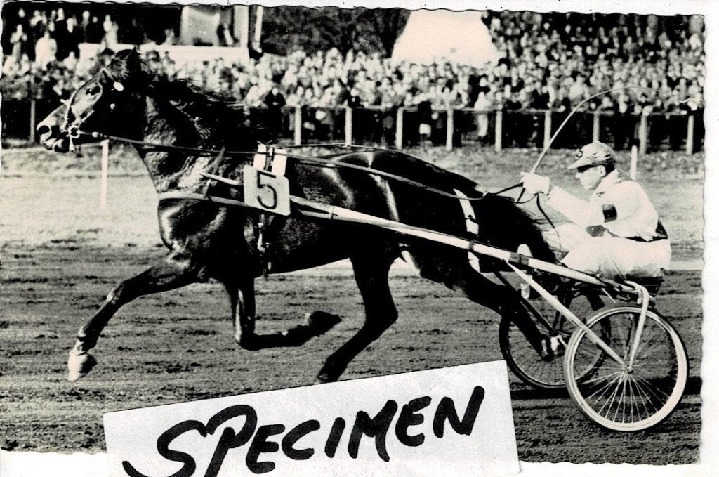Renbaan Dunidigt pikeur op langshaft sulky, Ophalen of Verzenden, Voor 1920, Noord-Brabant