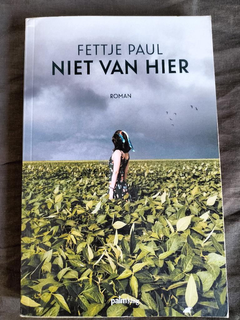 Fettje Paul - Niet van hier, Boeken, Ophalen of Verzenden, Zo goed als nieuw, Fettje Paul