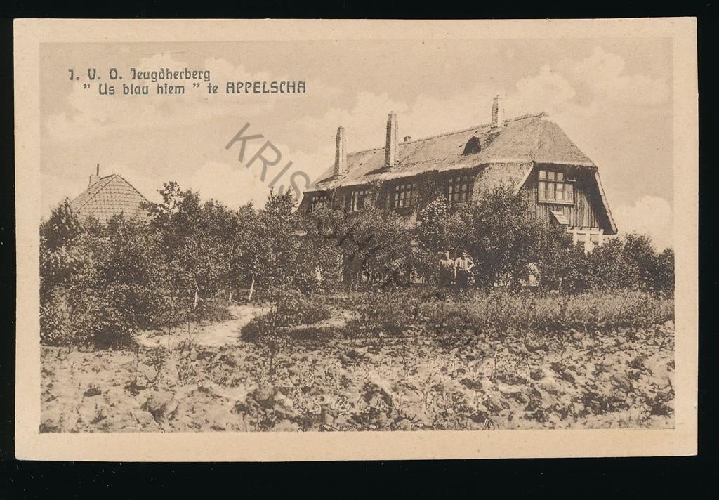 Appelscha - Jeugdherberg Us blau hiem [003-5314, Verzamelen, Verzenden, 1920 tot 1940, Ongelopen, Friesland
