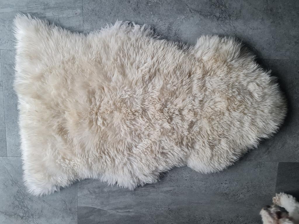Schapenvacht wol vloerkleed - Crème, wit, beige, Gebruikt, 50 tot 100 cm, Crème, Overige vormen