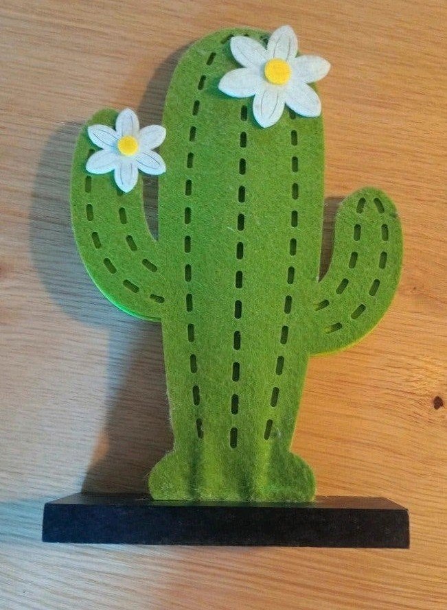 Decoratieve cactus van vilt, 20-25 cm hoog, Ophalen of Verzenden, Zo goed als nieuw, Groen, Textiel