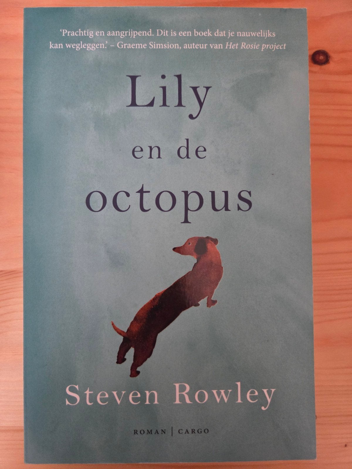 Steven Rowley - Lily en de octopus, Ophalen of Verzenden, Gelezen, Steven Rowley