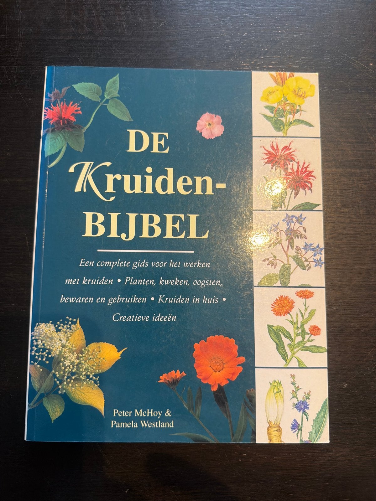 De Kruidenbijbel: Complete Gids voor Kruiden, Boeken, Ophalen of Verzenden, Gelezen, Moestuin