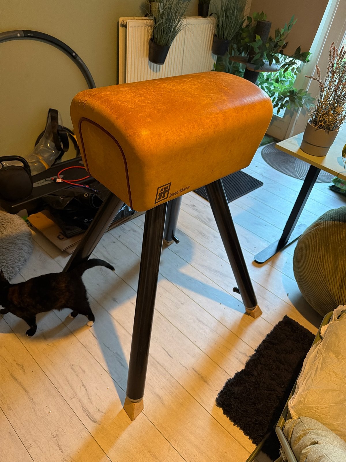 Originele Janssen + Fritsen Turnbok – Bruin Leer – Vintage, Sport en Fitness, Ophalen of Verzenden, Gebruikt, Bruin, Materiaal