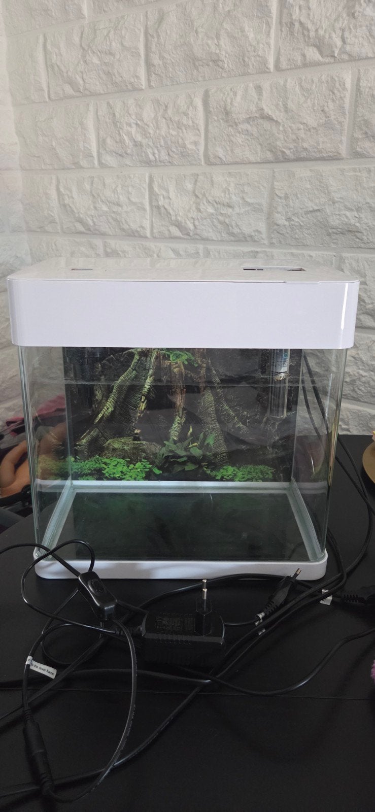Superfish Panorama Aquarium, Ophalen, Zo goed als nieuw, Leeg aquarium