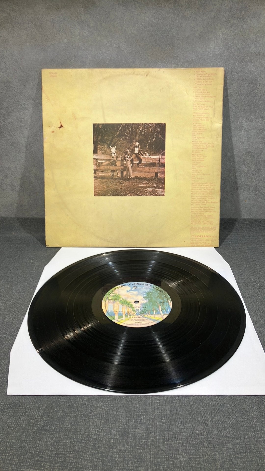 Van Morrison — Tupelo Honey, LP, Blues Rock, Ophalen of Verzenden, 12 inch