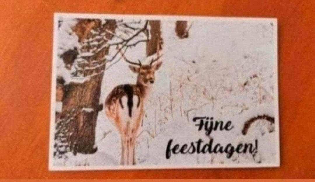 Kerstkaart met hert - Fijne feestdagen, Ophalen of Verzenden, Ongelopen