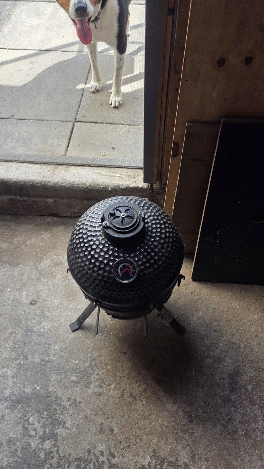 Compacte BBQ ei - Ideaal voor kleine gezelschappen, Ophalen, Gebruikt, Aldi