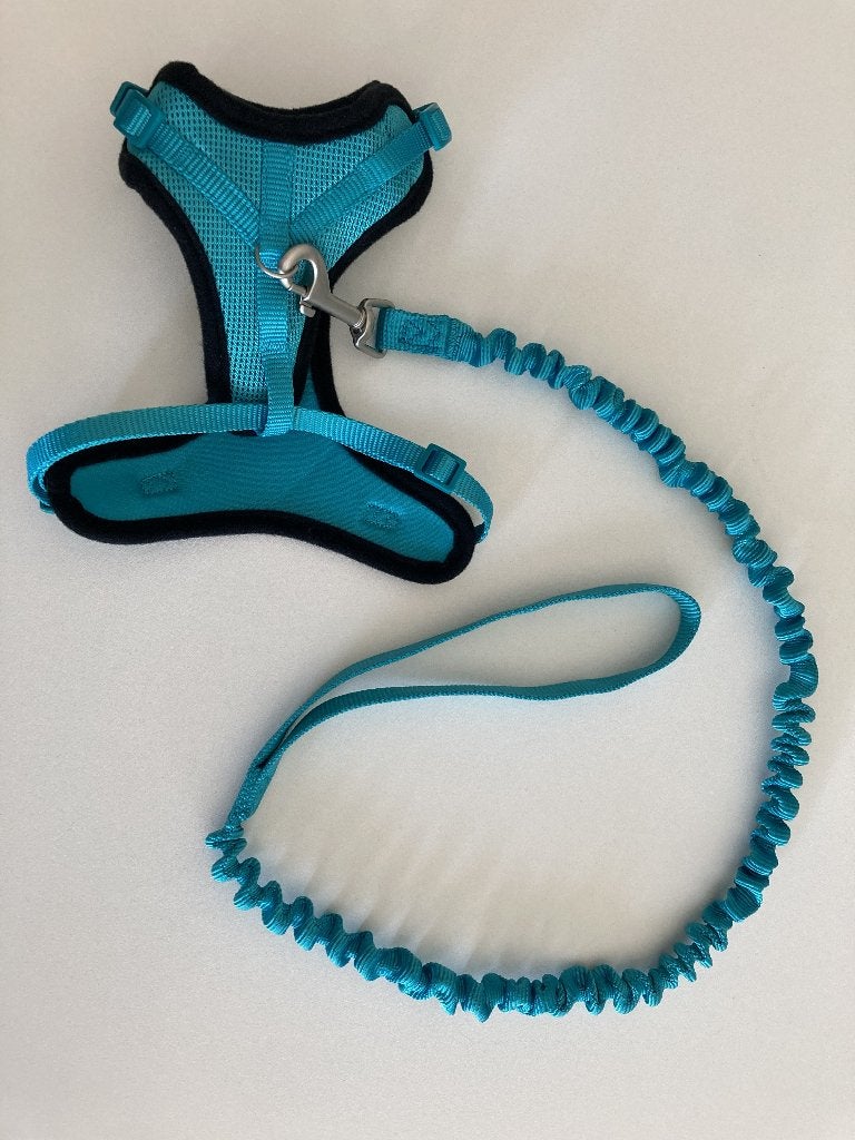 Trixie kattentuig Mesh Y-vorm met elastische riem, Ophalen of Verzenden, Nieuw