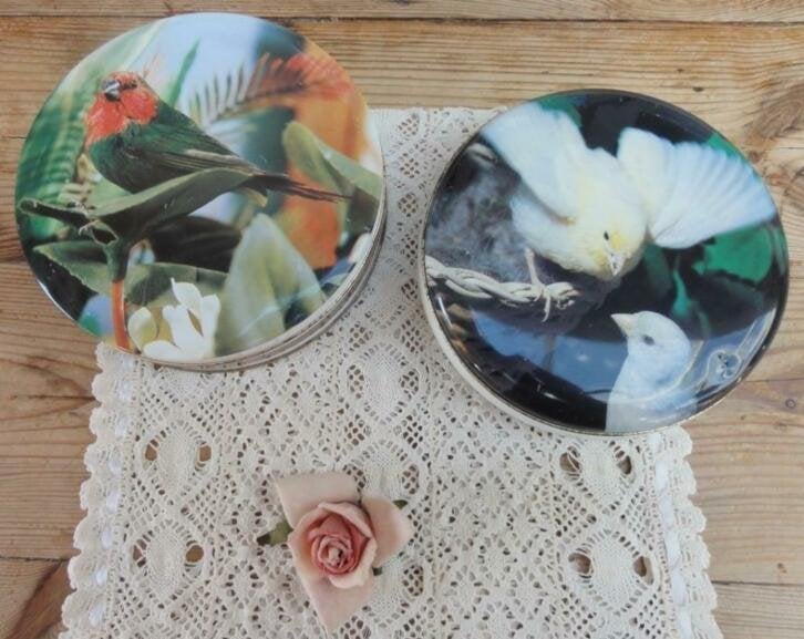 Franse vintage vogel blikken papagaai vink , vink , kanarie, Ophalen of Verzenden, Gebruikt, Vogel, Overige typen