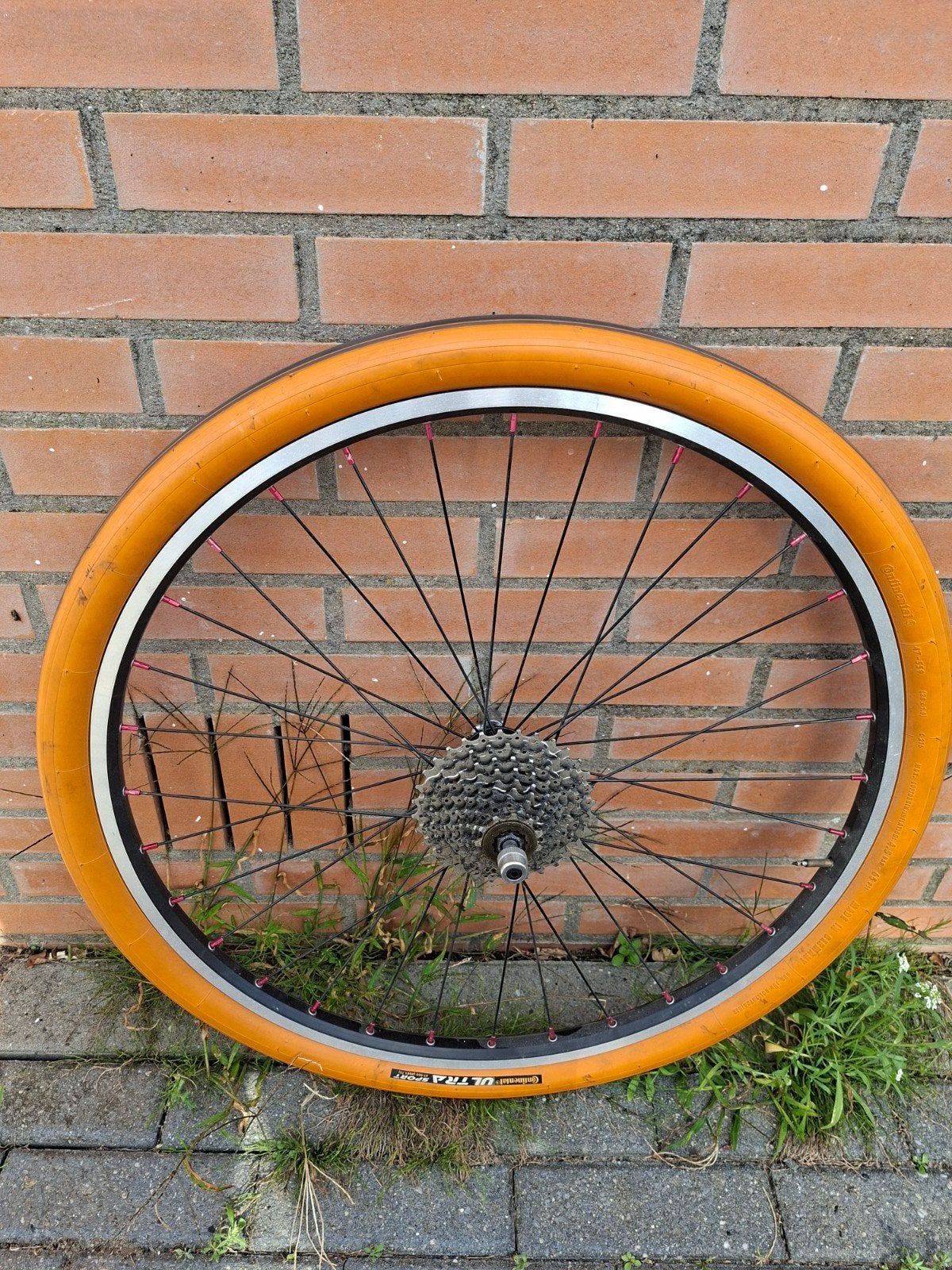 26 inch achterwiel voor Tacx met Continental Ultra Sport, Fietsen en Brommers, Wiel, Mountainbike, Gebruikt, Ophalen of Verzenden