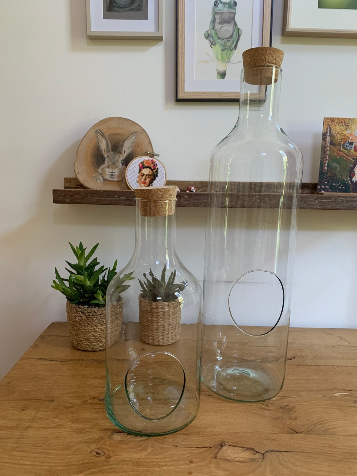 2 stuks planten terrarium flessen, Ophalen, Zo goed als nieuw, Overige kleuren, Glas