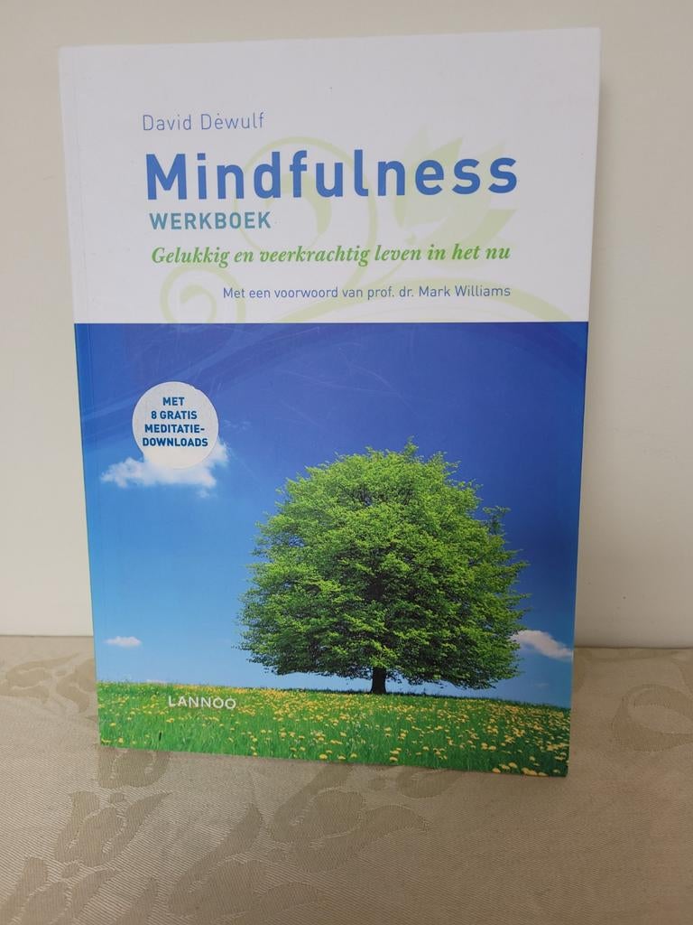 Mindfulness Werkboek - David Dewulf (Nieuw & Onbeschreven), Ophalen of Verzenden, Nieuw, Klinische psychologie, David Dewulf