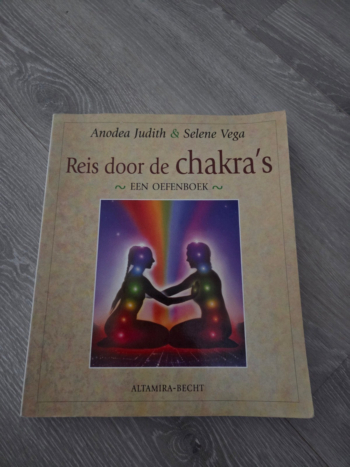 Reis door de chakra's - Oefenboek, Ophalen of Verzenden, Zo goed als nieuw, Spiritualiteit algemeen, Achtergrond en Informatie