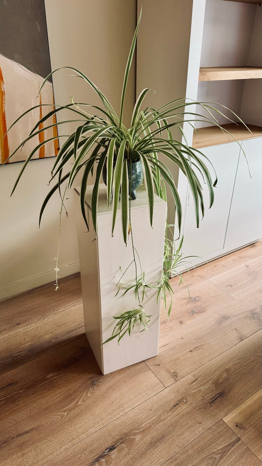 Witte zuil voor planten of beeld (77x27x27 cm), Huis en Inrichting, Woonaccessoires | Zuilen en Pilaren, Ophalen, Gebruikt