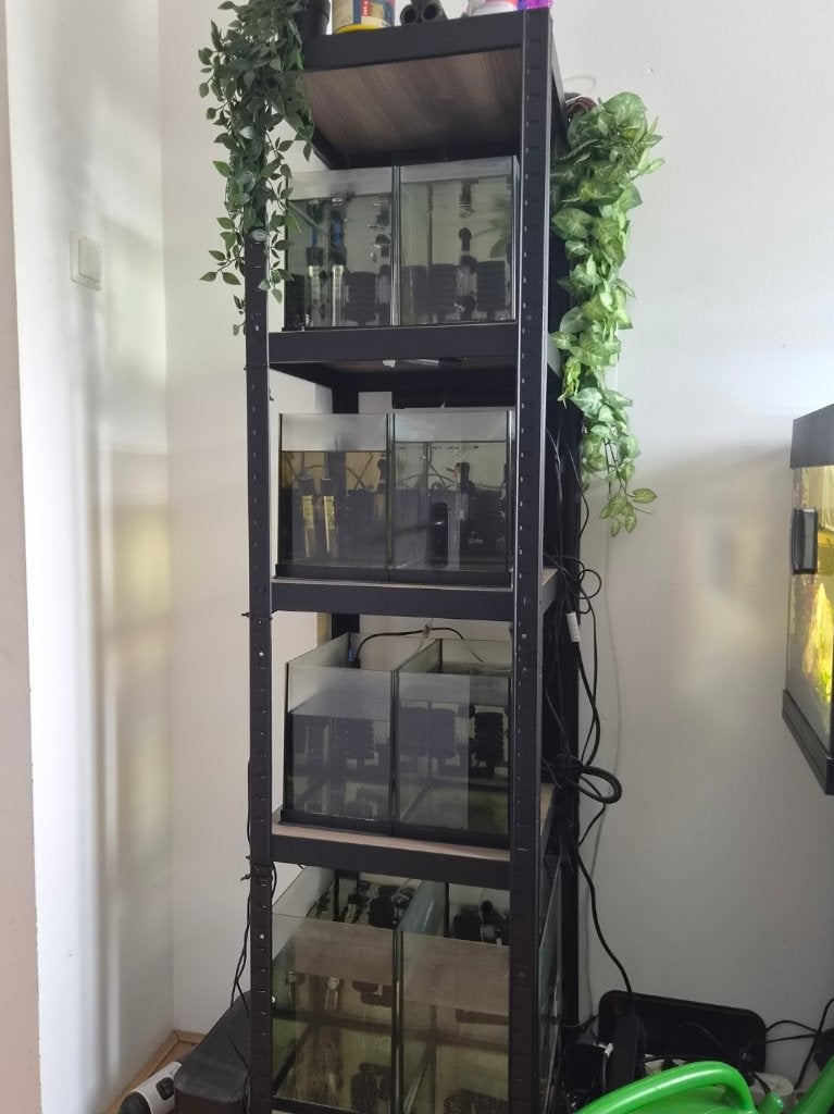 Kweek stelling, Ophalen, Zo goed als nieuw, Leeg aquarium