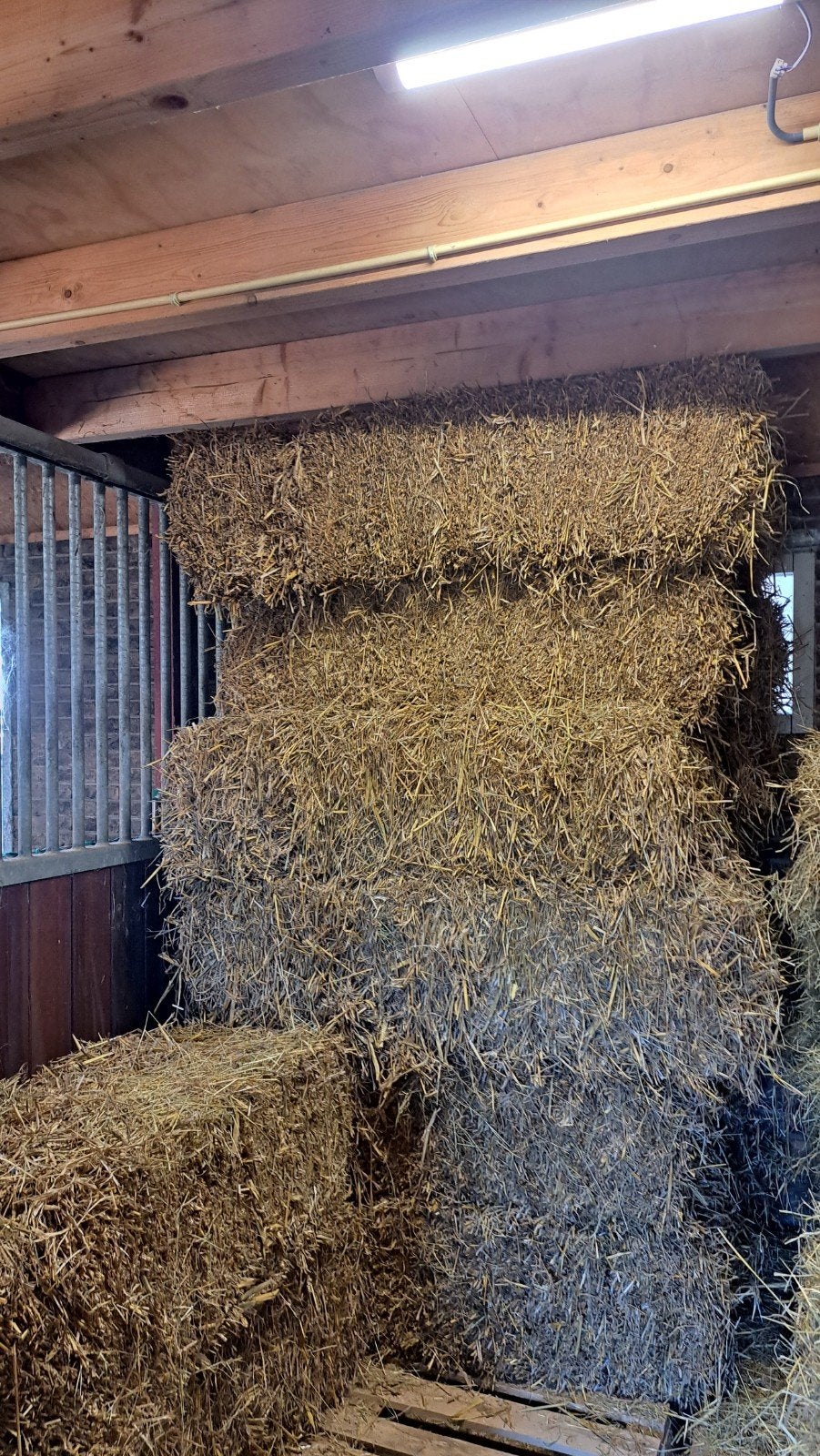 15 kleine baaltjes stro, Dieren en Toebehoren, Dierenvoeding, Ophalen