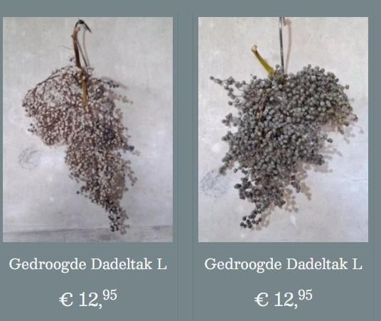 Gedroogde dadeltakken sober wonen aura peeperkorn, T, Nieuw, Ophalen of Verzenden, N