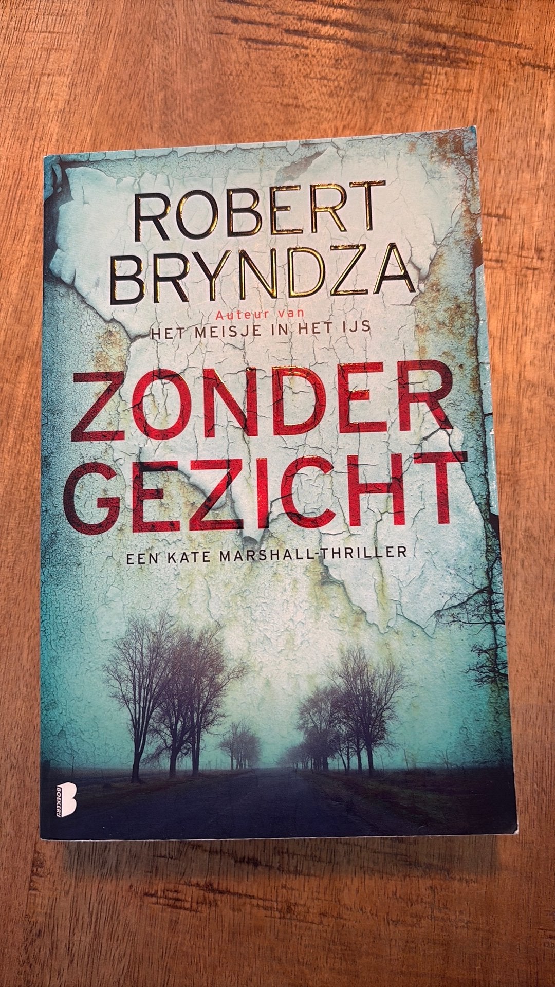 Robert Bryndza - Zonder gezicht, Ophalen of Verzenden, Zo goed als nieuw, Robert Bryndza