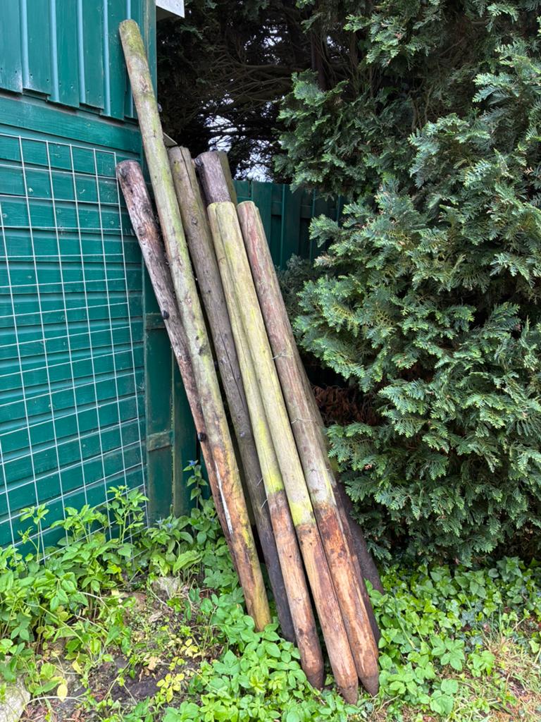 Weidepalen te koop, Ophalen, Gebruikt, Palen, Hardhout