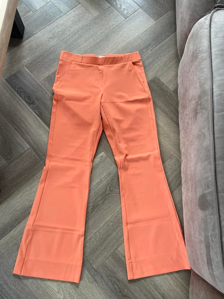 Studio Anneloes flared bonded broek peach travelstof mt XL, Studio Anneloes, Maat 46/48 (XL) of groter, Ophalen of Verzenden, Zo goed als nieuw