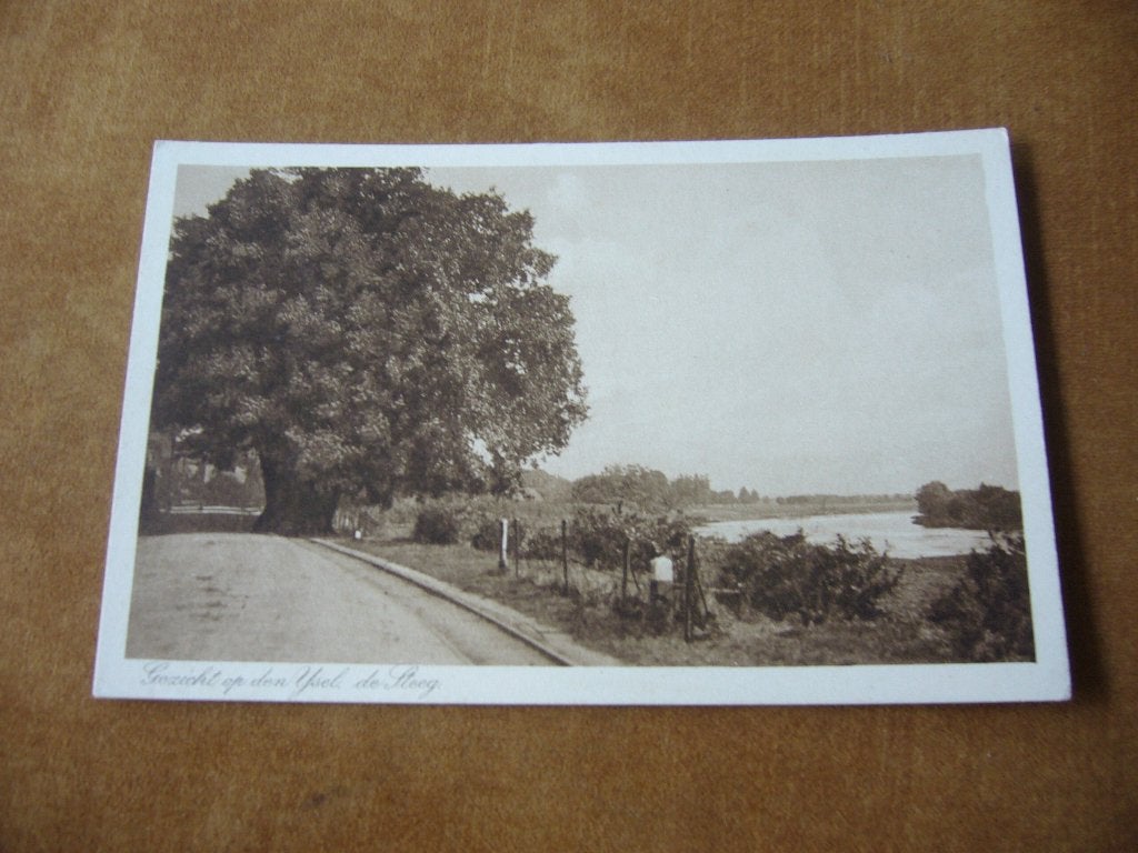 DE STEEG  =  GEZICHT OP DEN IJSEL, Verzamelen, Ansichtkaarten | Nederland, Ophalen of Verzenden, 1920 tot 1940, Ongelopen, Gelderland