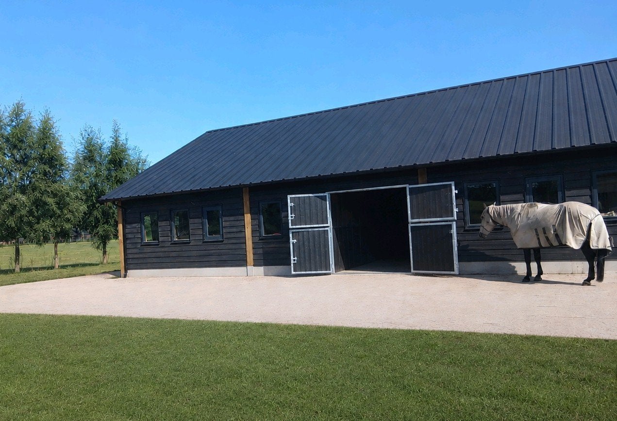 rustige pensionstal aangeboden, Weidegang, 1 paard of pony