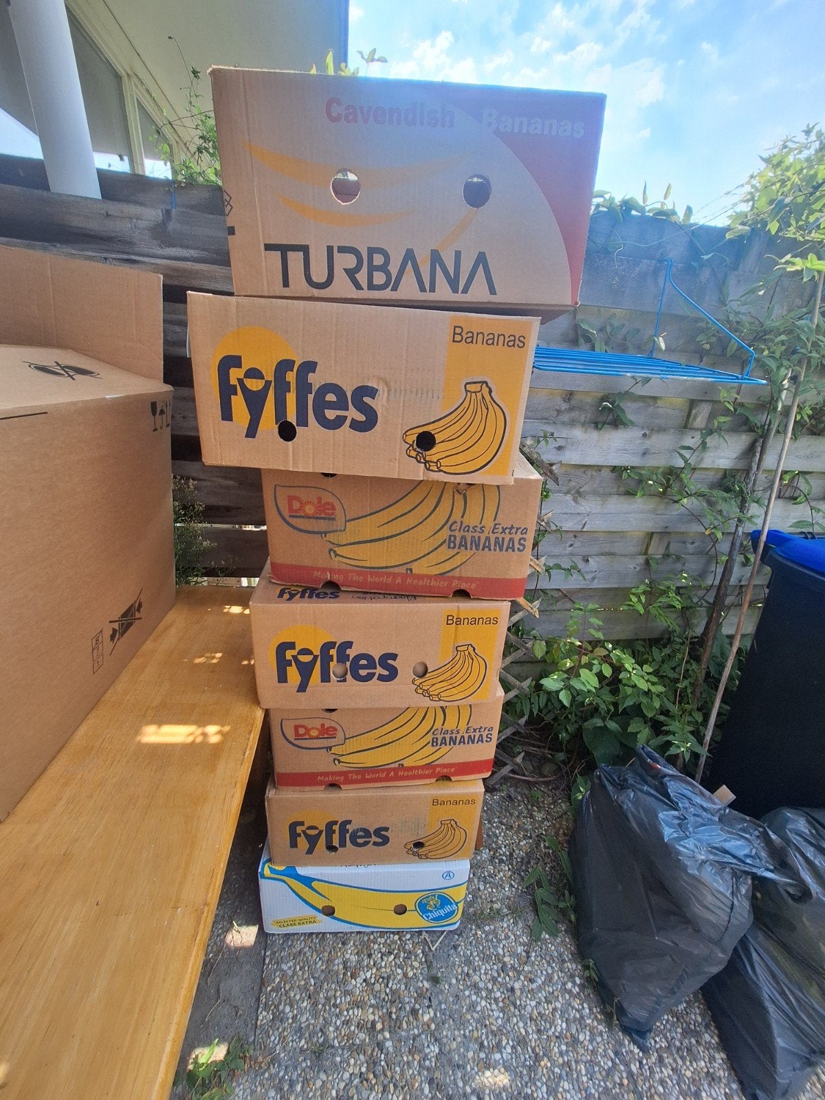12  bananendozen  verhuisdozen, Ophalen, Doos, 40 tot 60 cm, 50 tot 75 cm