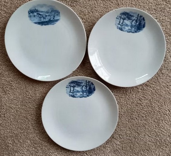 3 bordjes van Seltmann met afbeelding van Ned. Provincies, Ophalen of Verzenden