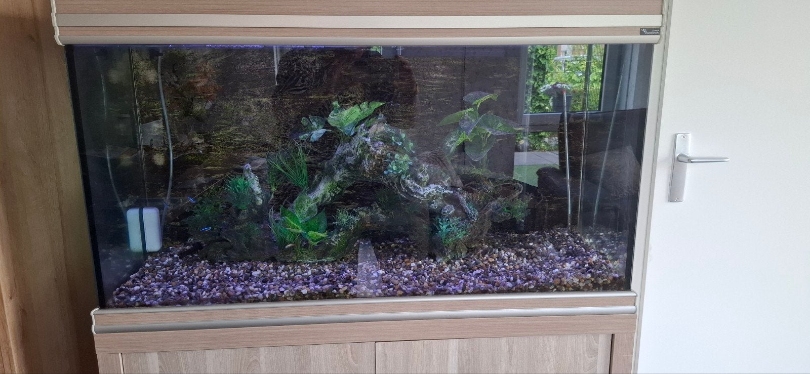 Net en compleet aquarium, Ophalen, Zo goed als nieuw, Gevuld zoetwateraquarium