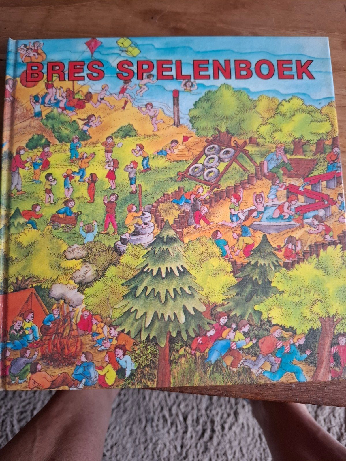 Bres spelenboek, Ophalen of Verzenden, Gelezen