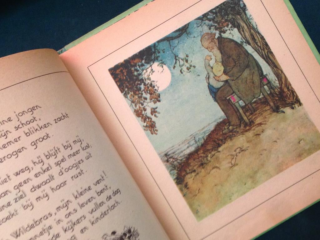 De Kleine Wildebras (Th. Storm) kinderboek 1944, Ophalen of Verzenden
