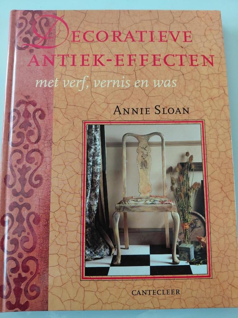 Boek over decoratieve antiek effecten, Annie Sloan, Ophalen of Verzenden, Zo goed als nieuw, Overige onderwerpen