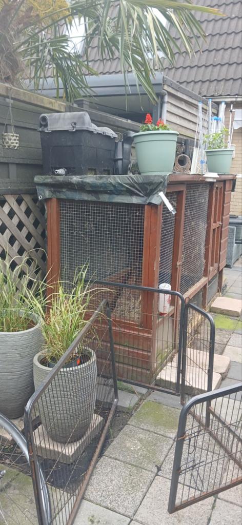 Te koop hok, Ophalen of Verzenden, 90 cm of meer, Hok, 110 cm of meer