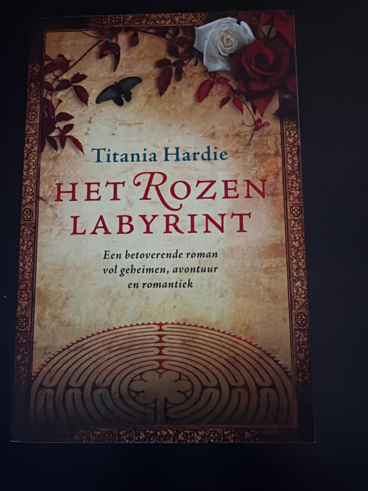 Het Rozen Labyrint - Titania Hardie (Roman), Boeken, Ophalen of Verzenden, Zo goed als nieuw, Nederland