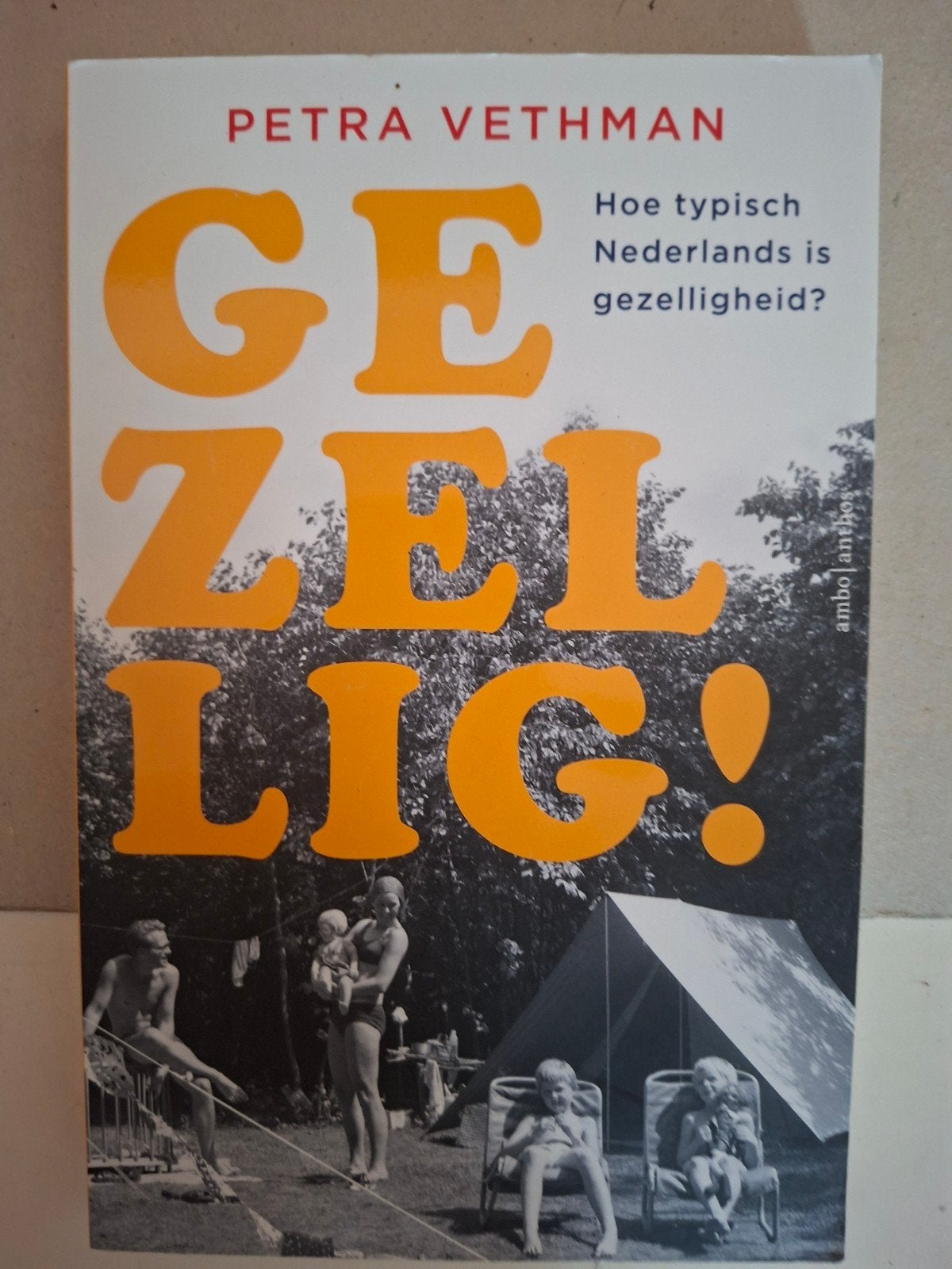 Petra Vethman - Gezellig!, Verzenden, Petra Vethman, Zo goed als nieuw, Nederland