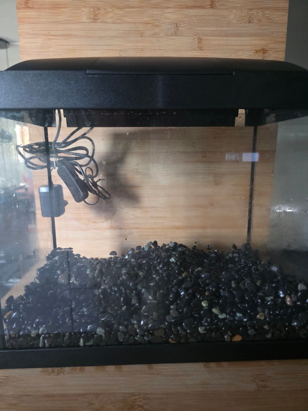 Superfish start 20 met extra toebehoren, Dieren en Toebehoren, Vissen | Aquaria en Toebehoren, Ophalen, Zo goed als nieuw, Leeg aquarium