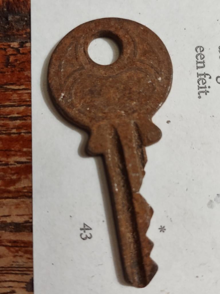 Oude roestige sleutel. Lips?, Ophalen of Verzenden