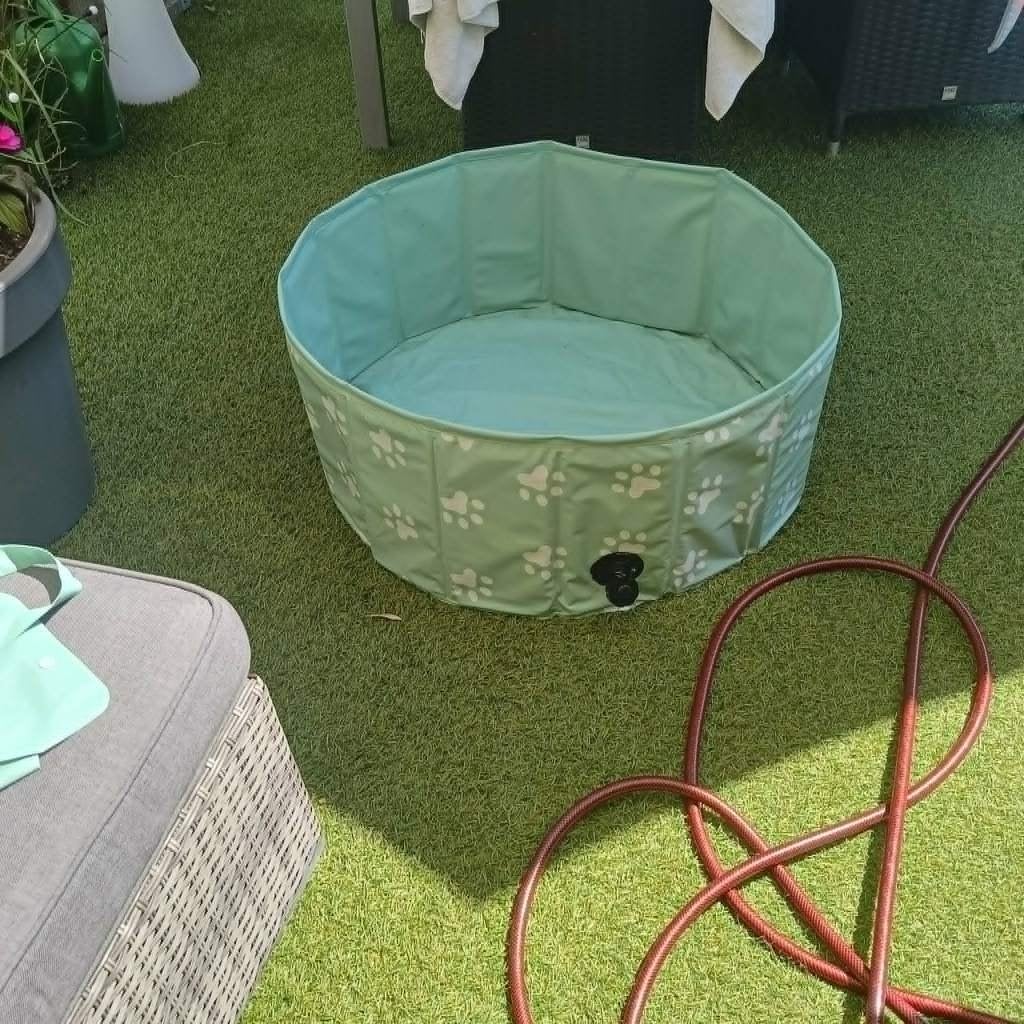 honden zwem badje, Ophalen, Nieuw